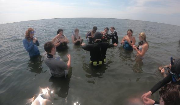 学生们在教练的指导下穿着潜水装备学习浮潜